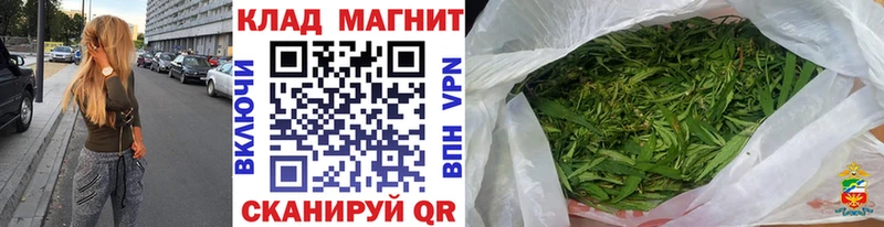 Где купить наркоту Кунгур АМФ  Псилоцибиновые грибы  ГАШ  Меф  Канабис  Кокаин 