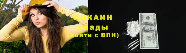 гашик Балахна