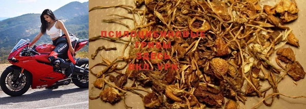 PSILOCYBIN Балабаново