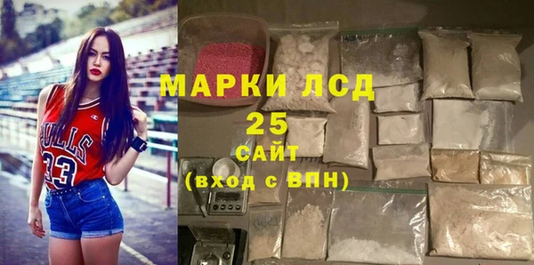 ПСИЛОЦИБИНОВЫЕ ГРИБЫ Арсеньев