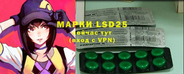 PSILOCYBIN Балабаново