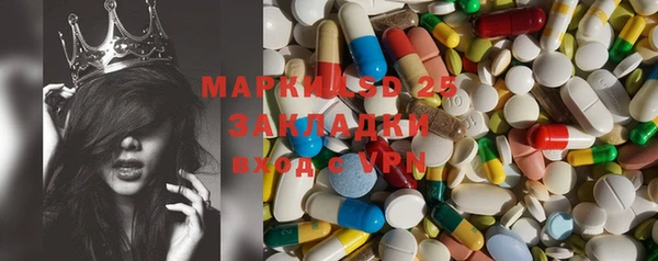 ПСИЛОЦИБИНОВЫЕ ГРИБЫ Арсеньев