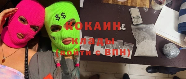 гашик Балахна