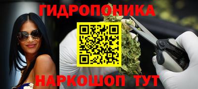 PSILOCYBIN Ирбит